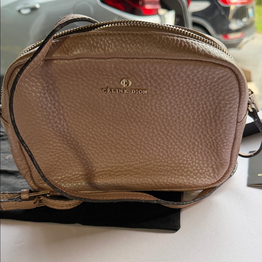 Céline Dion Collection Pebbled Leather Crossbody Bag in Blush Taupe - Picture 14 of 14
